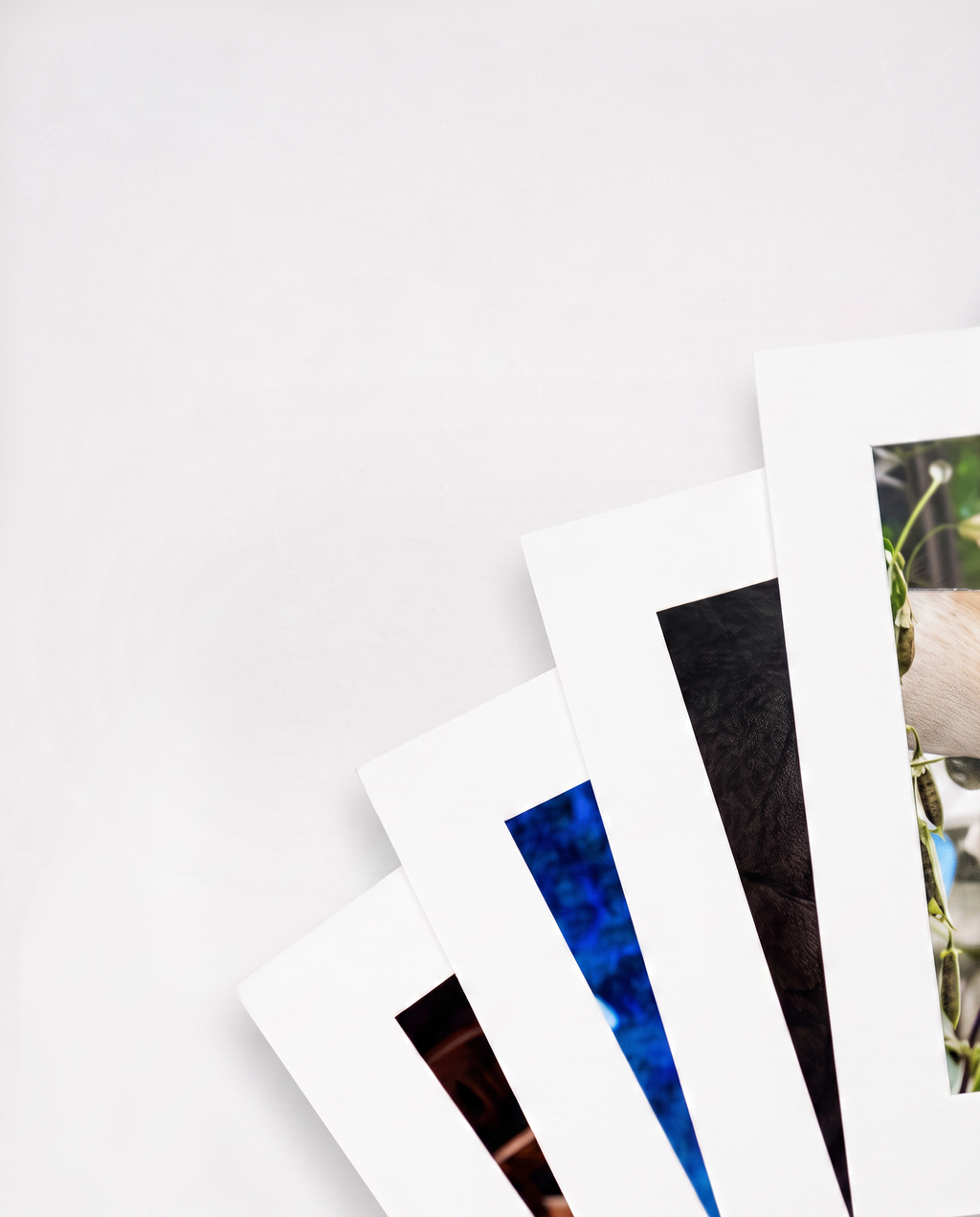 Frame Cards